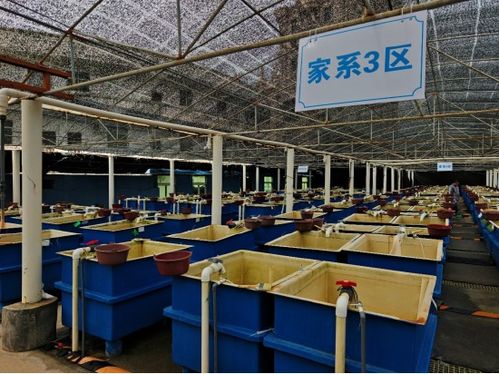 廈門市海洋與水產(chǎn)學(xué)會(huì)海洋文化與科普專業(yè)委員會(huì)晉江圍頭調(diào)研